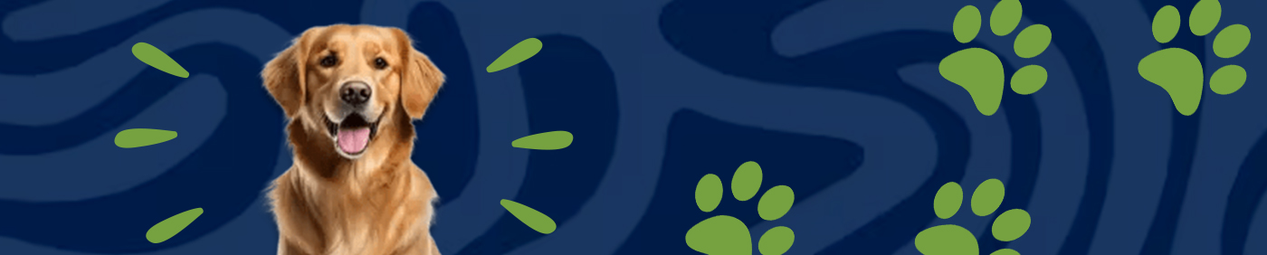 Pet Adoption Event is back! May 16, 2026