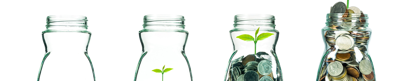 Understanding Your Rollover Options Webinar