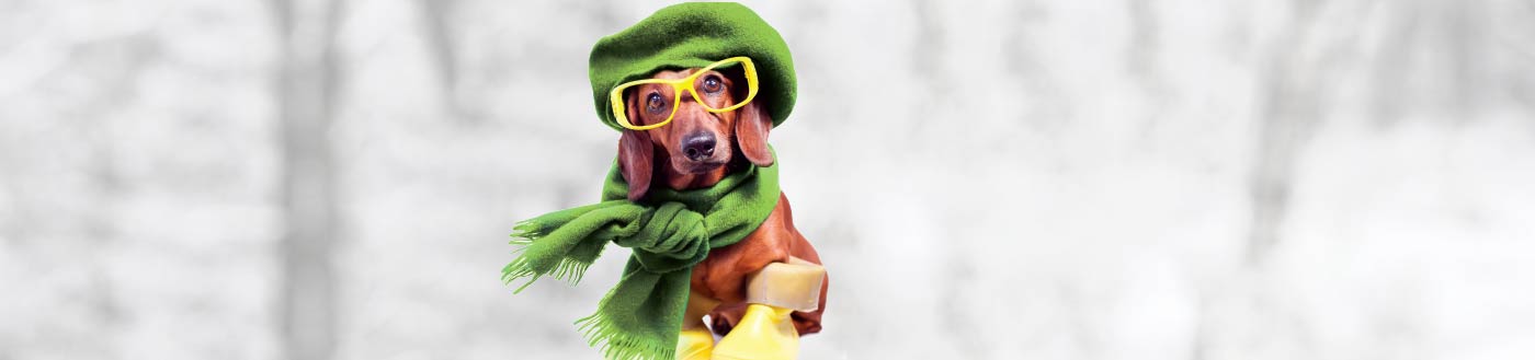 Multiple Bills Have You Feeling Frozen? Bundle up your payments & simplify those bills with Abri! Click for Details>