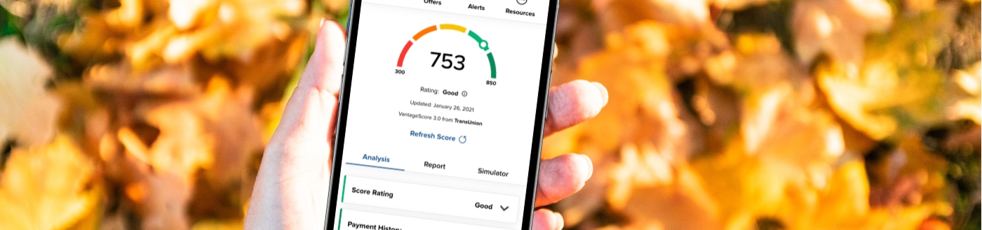 Give your credit a fall checkup with Credit Sense. Click for details